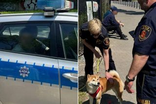 Piknik w Warszawie zamienił się w koszmar. „Za budynkiem mężczyzna bije kobietę”