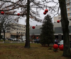 Świąteczna atmosfera zapanowała na UMCS-ie w Lublinie