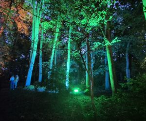 Olsztyn zamienił się w magiczną krainę. Park Świateł przyciągnął tłumy!