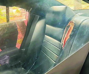 Zatrzymana pogryzła radiowóz