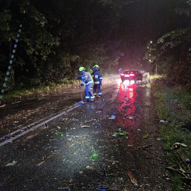 Burzowa noc w Śląskiem. Blisko 10 tys. osób bez prądu. Piorun popalił dom 