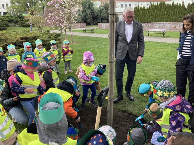 Prezydent Poznania sadzi drzewo