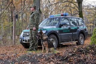 Psy pomagają straży granicznej na Warmii i Mazurach
