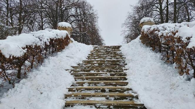 Zamojski Park pod śniegiem