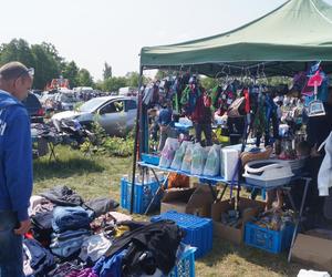 Pchli targ, czyli wyprzedaż garażowa w podbydgoskich Przyłękach [ZDJĘCIA]