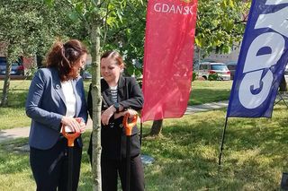 Obietnica frekwencyjna dotrzymana! Prezydentki Gdańska i Gdyni zasadziły drzewo