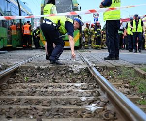 Dwa tramwaje zderzyły się 8 bm. na ul. Hetmańskiej w Poznaniu. Poszkodowanych zostało 15 osób. Jedna jest w stanie ciężkim