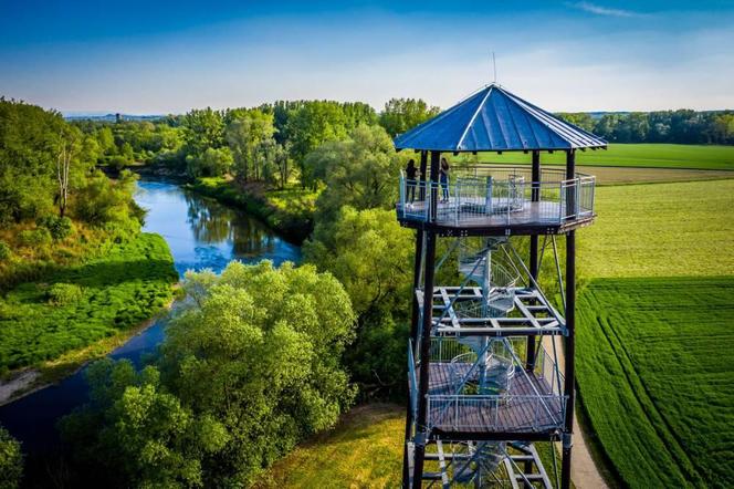 Graniczne Meandry Odry - piękny zakątek przyrody przy granicy z Czechami ZDJĘCIA