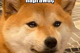  Tak internauci śmieją się ze stolicy! TOP 22 memów o Warszawie