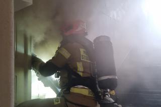 Pożar mieszkania w Toruniu. Dwie osoby w szpitalu, osiem zastępów straży w akcji