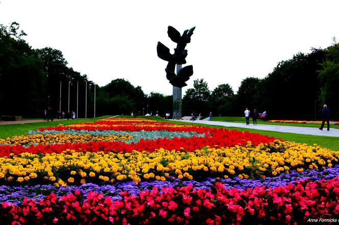 Kwiaty przed Pomnikiem Czynu Polaków