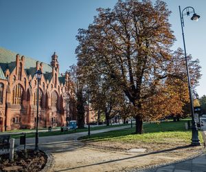 Plac Kościeleckich w Bydgoszczy po przebudowie