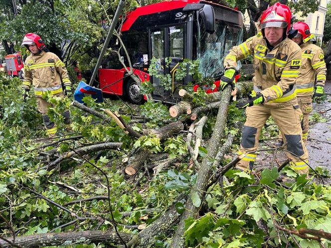 Drzewo przewróciło się na miejski autobus. Są osoby poszkodowane