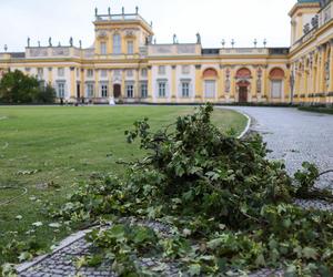 Park wilanowski zamknięty po burzy w Warszawie