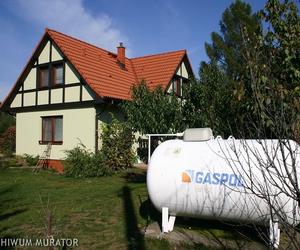 Rośliny jako osłona zbiornika na gaz [Porada eksperta]