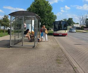 Autobusy elektryczne w maju