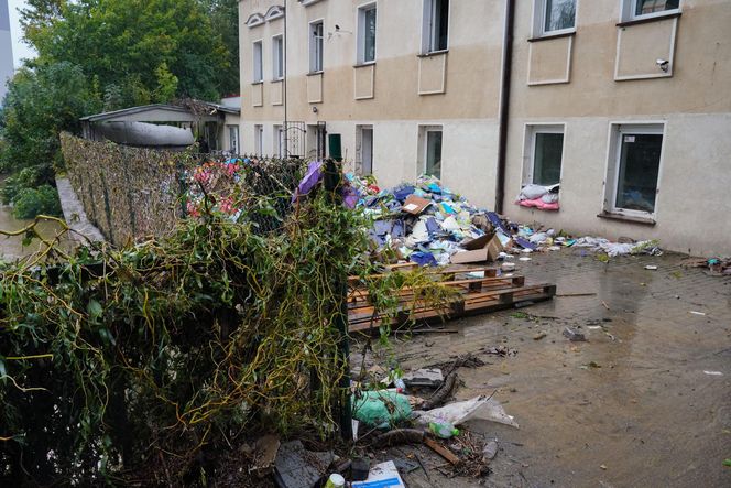 Nowe nagranie z dziewczynką z Kłodzka pojawiło się w sieci. Nie da się przejść obojętnie, ściśnie ci gardło!