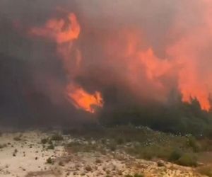 Fala upałów w Europie! Centra chłodzenia powstają w miastach