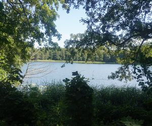 To jedno z największych jezior w Olsztynie. Kusi turystów piaszczystymi plażami