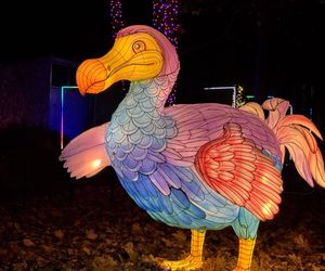 Ogród Świateł. Dzika Ameryka w ZOO Wrocław