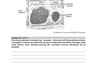 Matura 2018 z biologii [ARKUSZE CKE, ODPOWIEDZI]