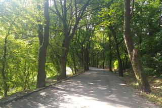 Park Zamkowy i Promenada w Mysłowicach