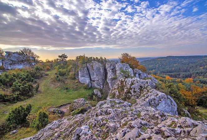 Góra Zborów 