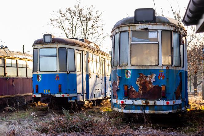 Zobacz kolekcję starych tramwajów w prywatnym ogrodzie - zdjęcia. Wagony stoją na działce w Warszawie