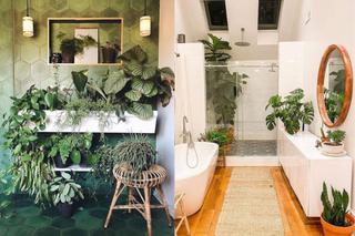 Rośliny do łazienki: najciekawsze aranżacje z roślinami doniczkowymi w łazience