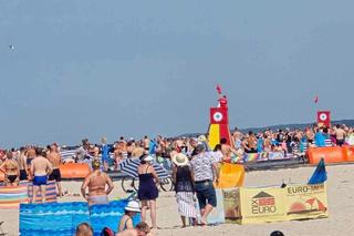 Łańcuch życia w Łebie