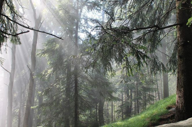 Błędne Skały to polska wersja Bryce Canyon. Są zaledwie kilka godzin od Wrocławia