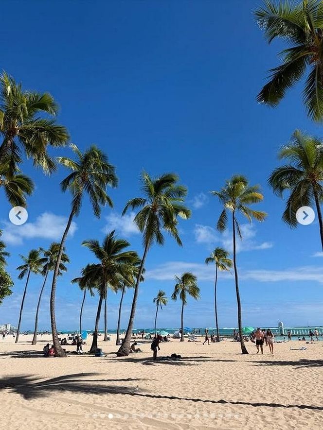 Ten wpis Anity Werner poruszył tysiące osób. Nikt się tego nie spodziewał!