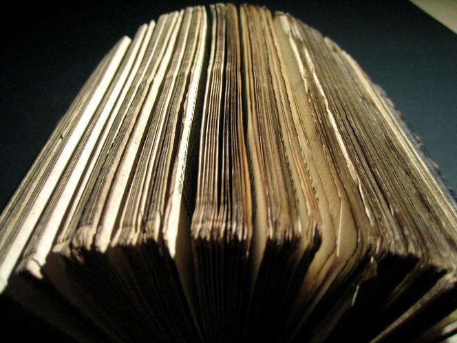 Bogurodzica: streszczenie, opracowanie, archaizmy, PODCAST