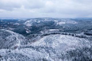 Wielka atrakcja Dolnego Śląska. Wieża widokowa na Dzikowcu to prawdziwy hit!