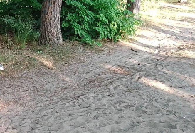 To miejsce idealne na weekendowy wypoczynek. Można dotrzeć tu rowerem!