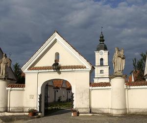 Wigierski Park Narodowy. To bezcenny obszar podlaskiej natury