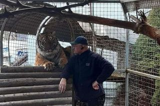 Mieszka z lwami odrzuconymi przez matkę i tygrysem. Usłyszał prokuratorskie zarzuty