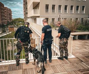 Polscy policjanci jadą pilnować porządku we Francji! Mowa jest o milionach ludzi