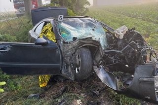 Śmiertelny wypadek pod Malborkiem. Dwóch nastolatków uderzyło w drzewo [ZDJĘCIA].