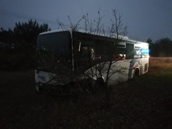 Śmiertelny wypadek pod Toruniem - policja poszukuje świadków