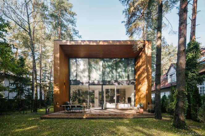 Zobacz wyjątkowy dom ukryty w sosnowym lesie. To Dom jak Las - galeria zdjęć