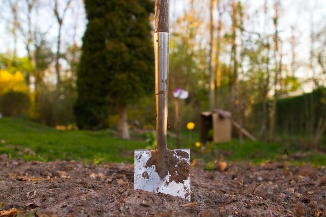 Przygotowanie ziemi do wiosennego sadzenia roślin. PORADNIK