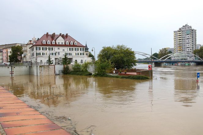 Powódź w Opolu. Stan Odry w środę, 18.09.2024 