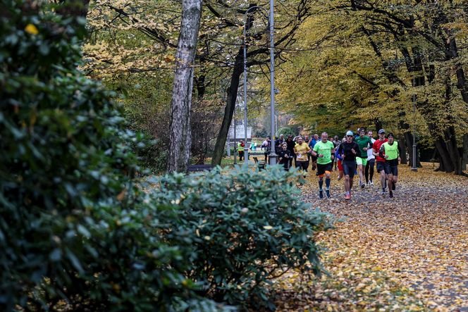 Sobotni parkrun w Katowicach przyciągnął tłumy. W tym biegu nigdy nie będziesz ostatni! GALERIA