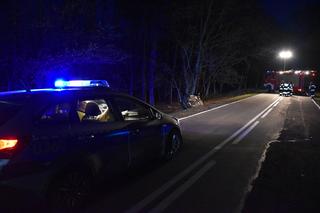 Wsiadła za kółko po kilku głębszych i WYLĄDOWAŁA W ROWIE! W aucie nie była sama 