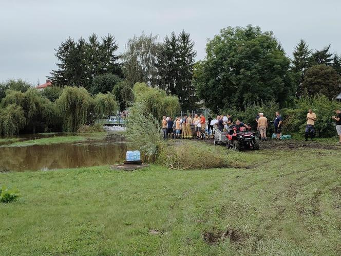 Strażacy z OSP Płoskie wracali z akcji i uratowali jastrzębia