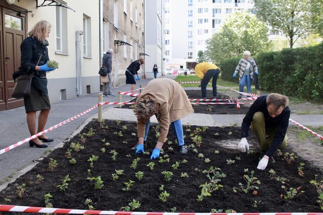 Gwiazdy i radni sadzą kwiaty w Warszawie
