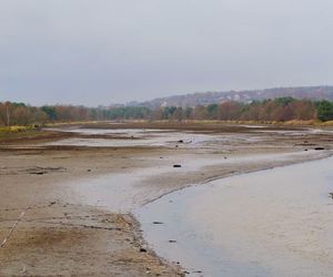 Mroczne klimaty nad zalewem brodzkim. Idealne na spacer dla fotografów