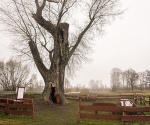 Odwiedziłam słynną Chatkę Puchatka na Śląsku 