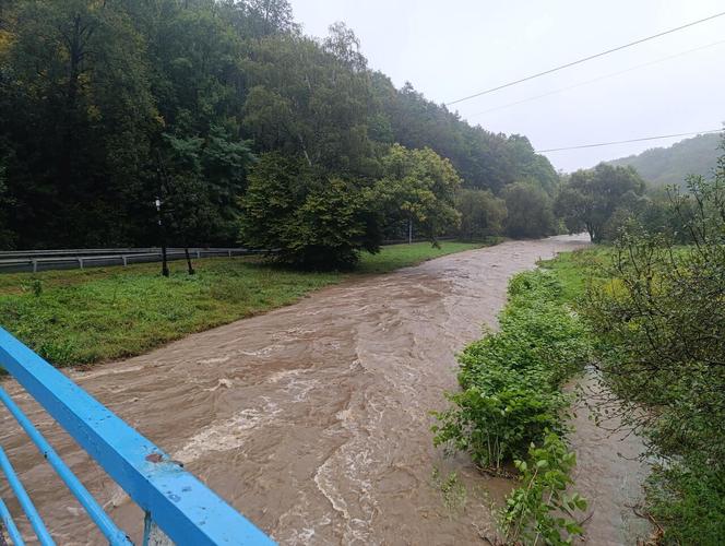 Ewakuacja części mieszkańców Jarnołtówka. Złoty Potok może wylać